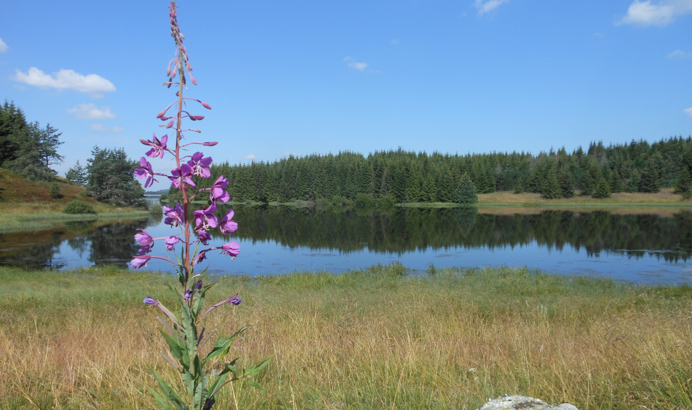 Retour au Pays des sources