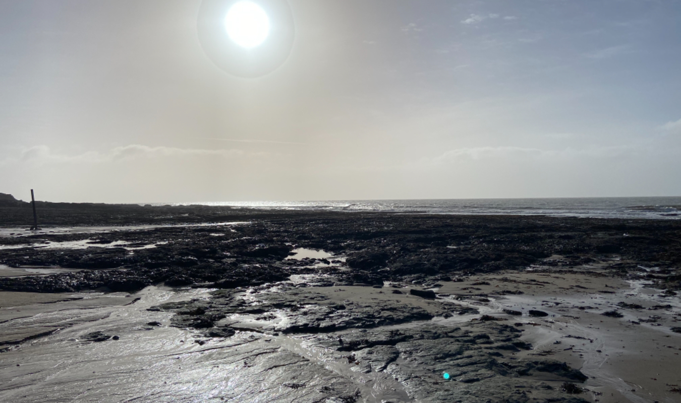 Le vendredi tout est permis!