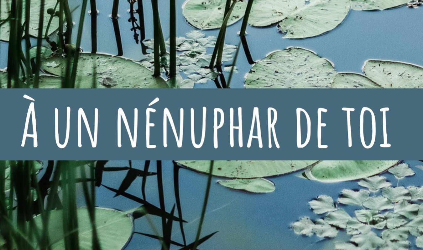 À un nénuphar de toi