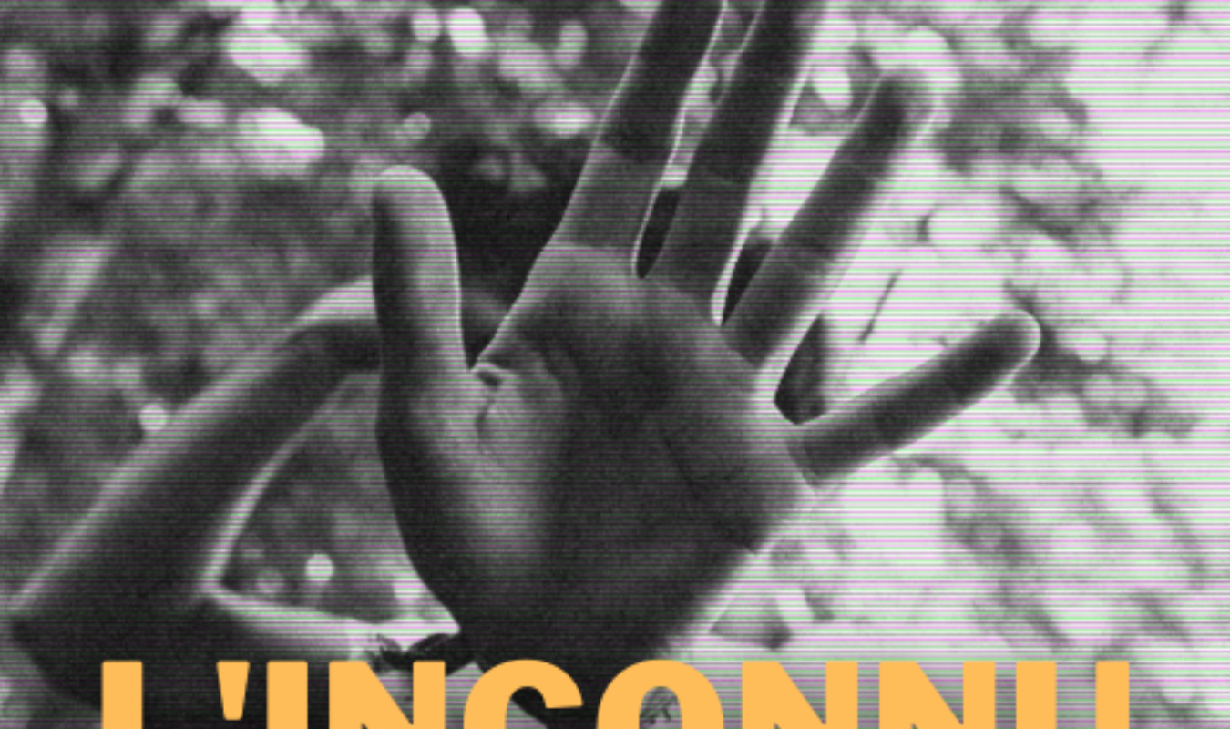 L'inconnu du confinement