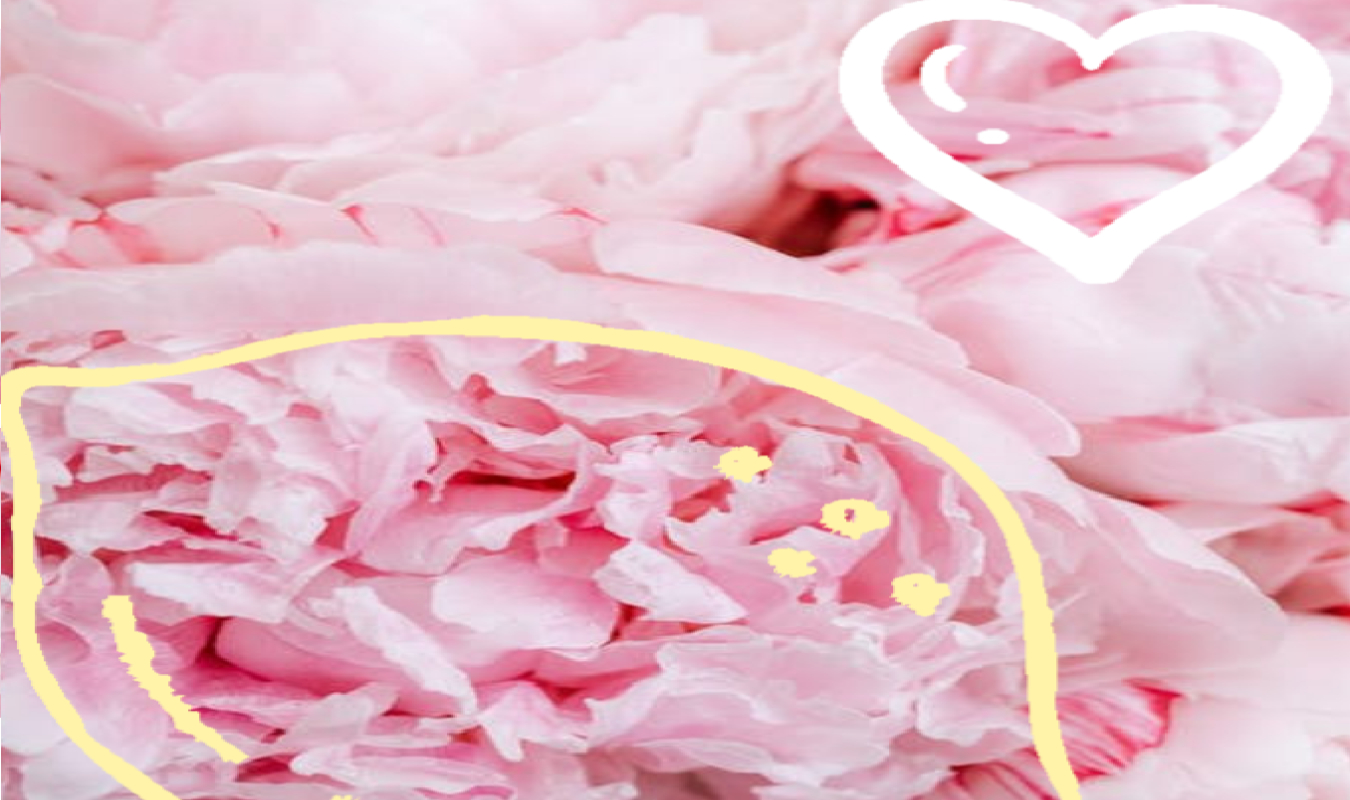 Fleurs au sucre 🌺 et cœur citron 🍋 💖