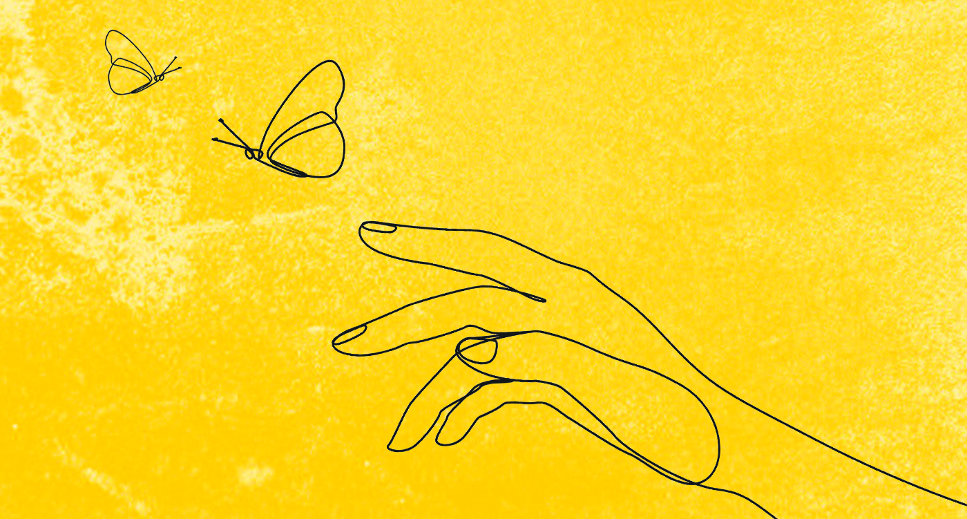 L'effet papillon