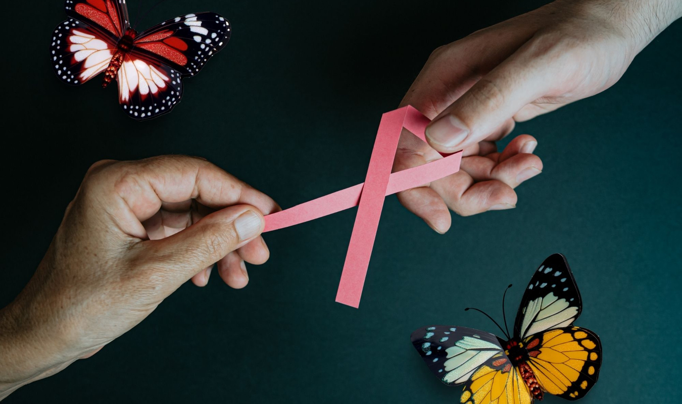 La chrysalide devient papillon 