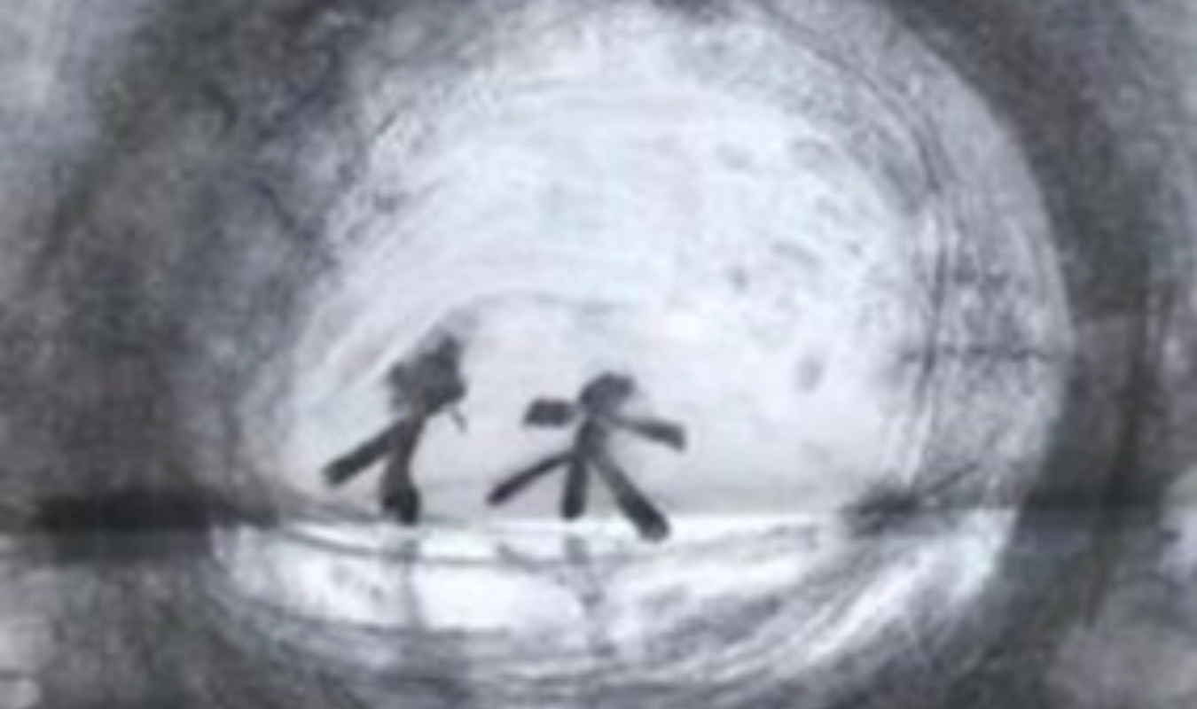 De l'ombre à la lumière 