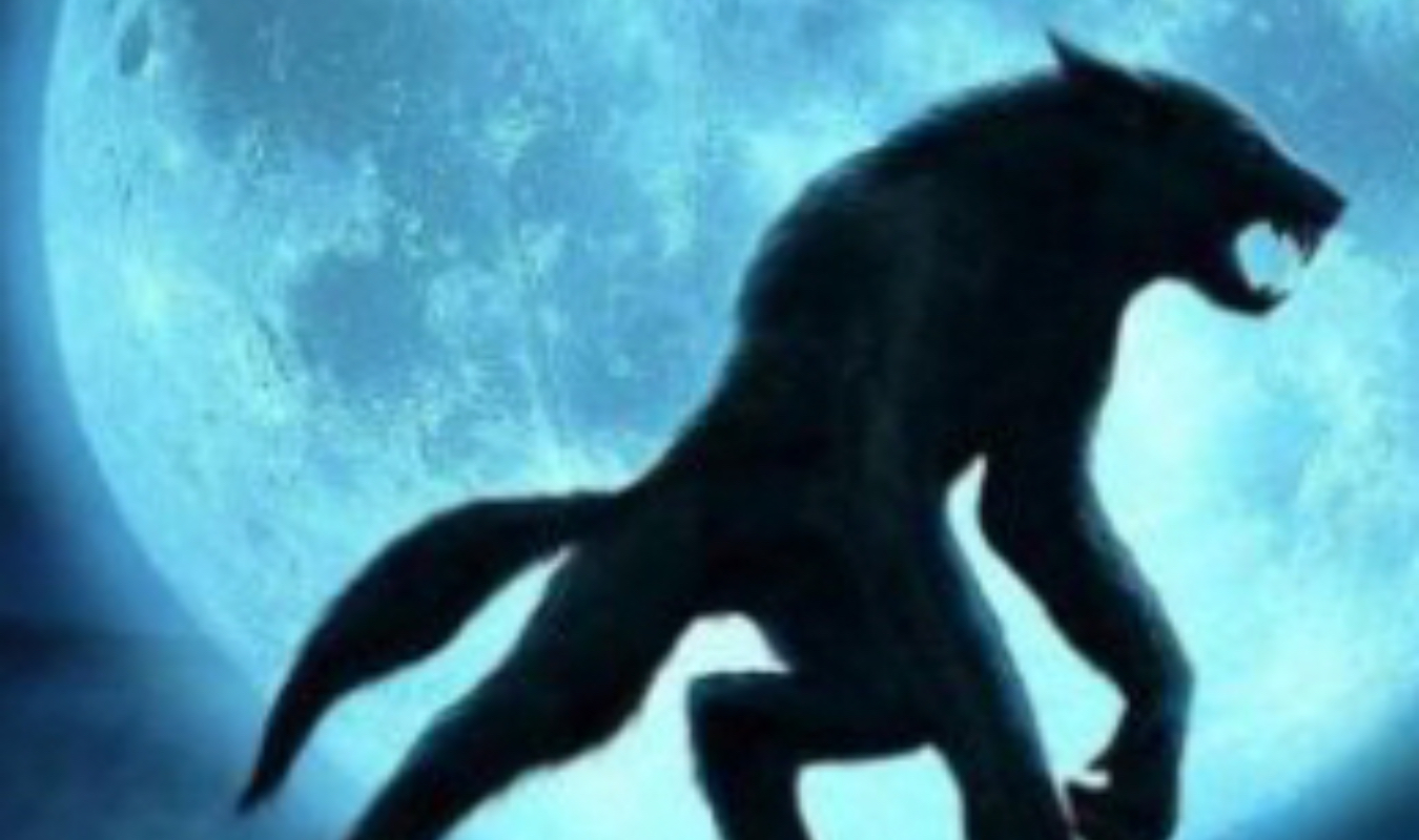 Mon prof est un loup-garou 