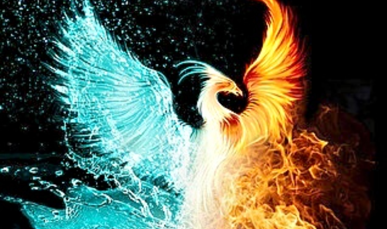 Flamboyant comme le Phénix