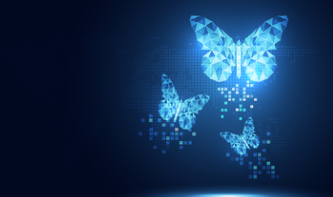 Un papillon en kimono