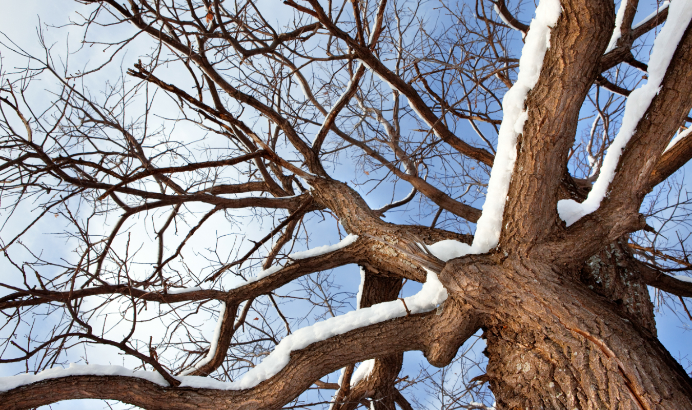 101 raisons pour tomber amoureux de toi