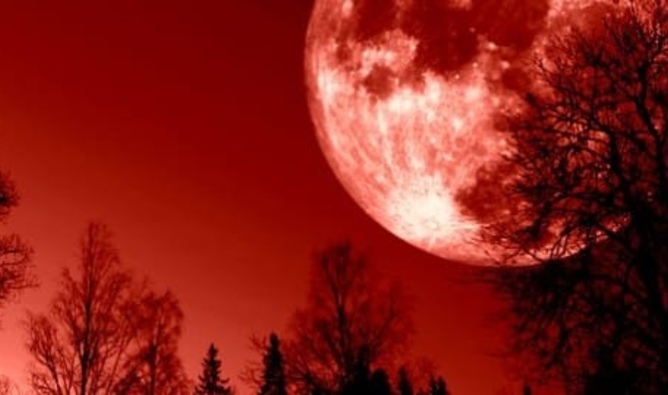 La Lune Rouge et le Phoenix Disparu 