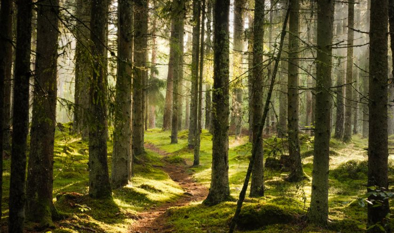 De l'autre côté du mur