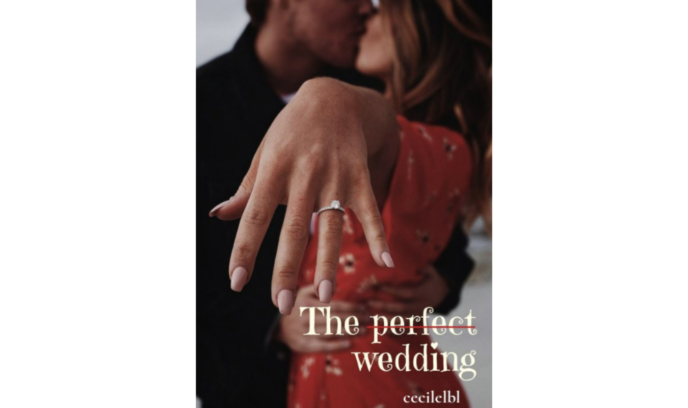 The p̶e̶r̶f̶e̶c̶t̶ wedding