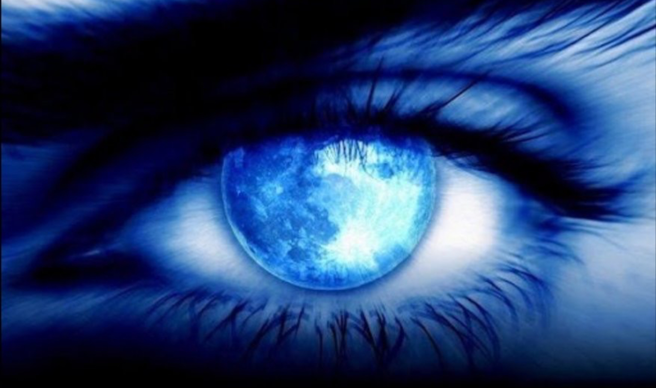 Vivre ou survivre-Tome1 Regarde-moi