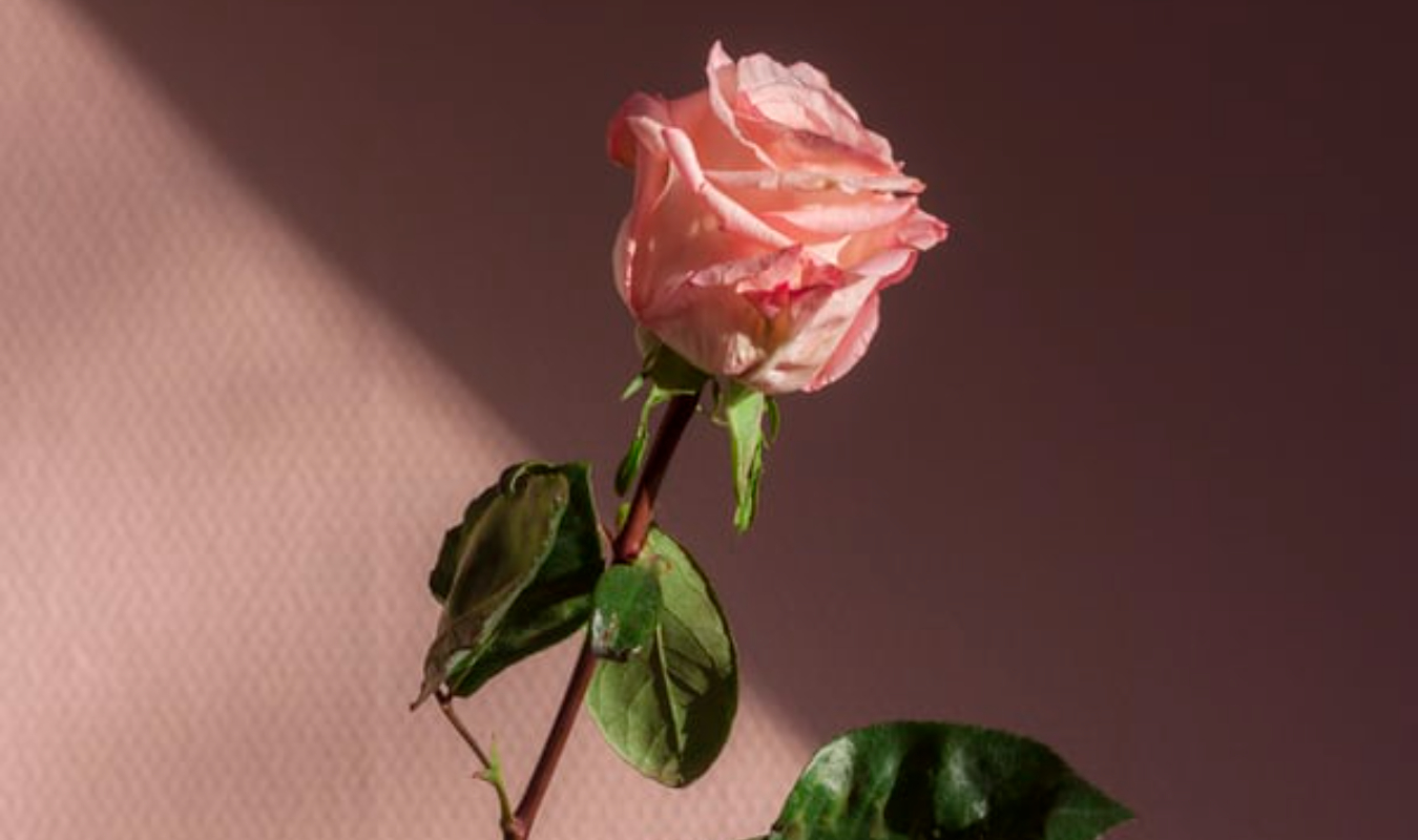 C’était par intérêt