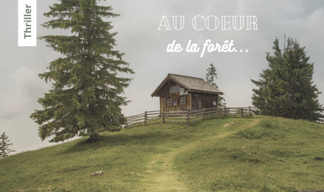 Au cœur de la forêt...