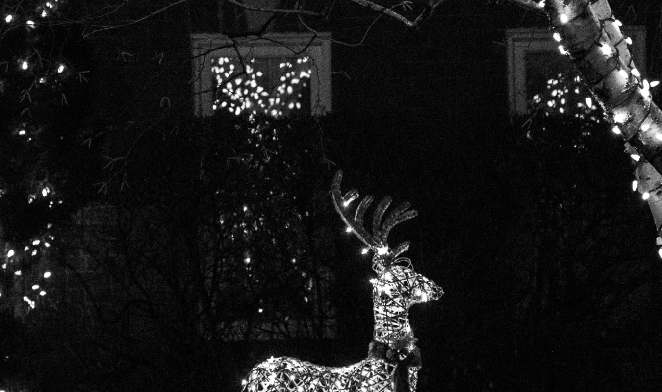 La disparition mystérieuse de Monsieur Noël 