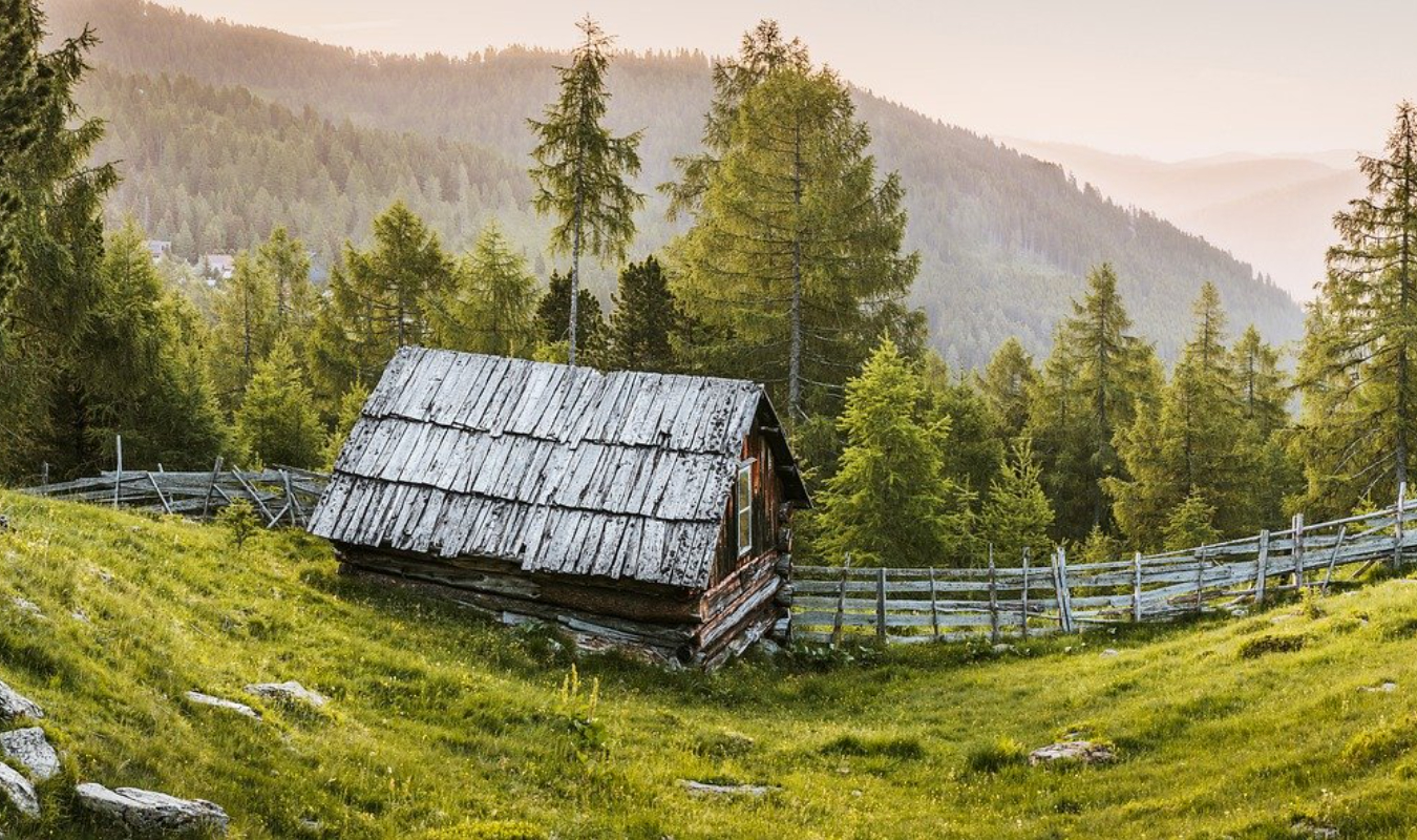 Pas de Noël cette année !