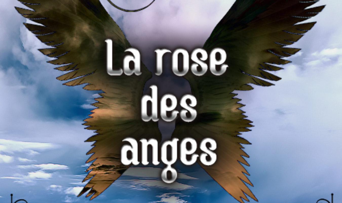 La rose des anges