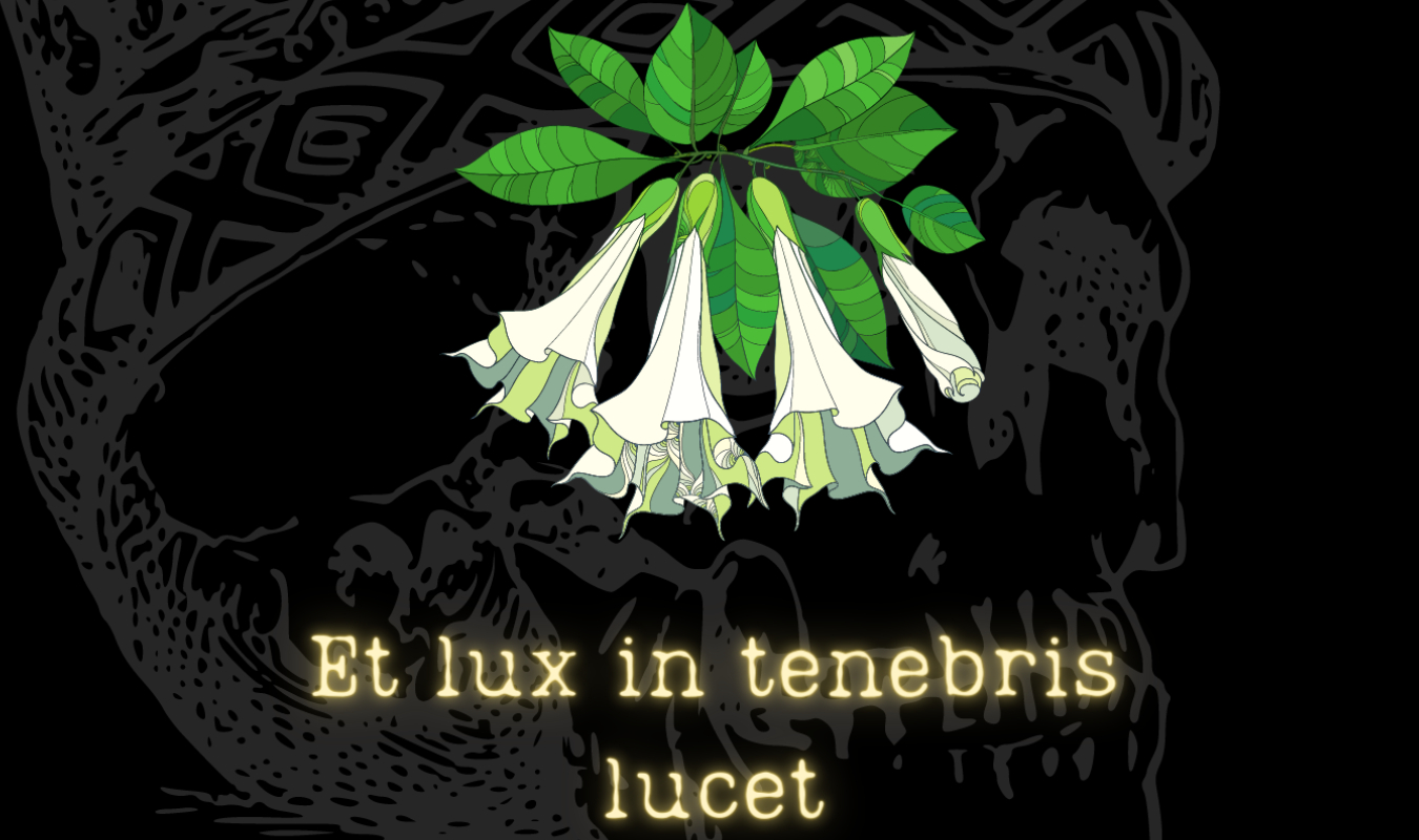 et lux in tenebris lucet 
