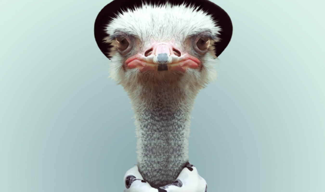 Histoire d une quadra