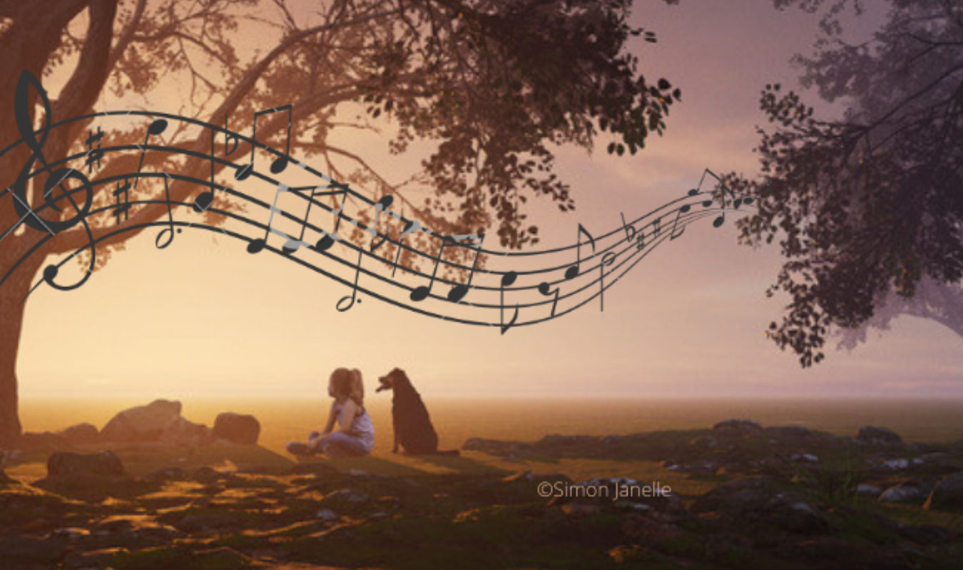 Mélodia, je t'emmerde