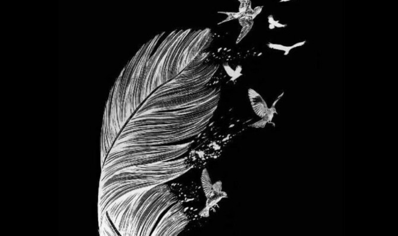 L'art du clair-obscur 