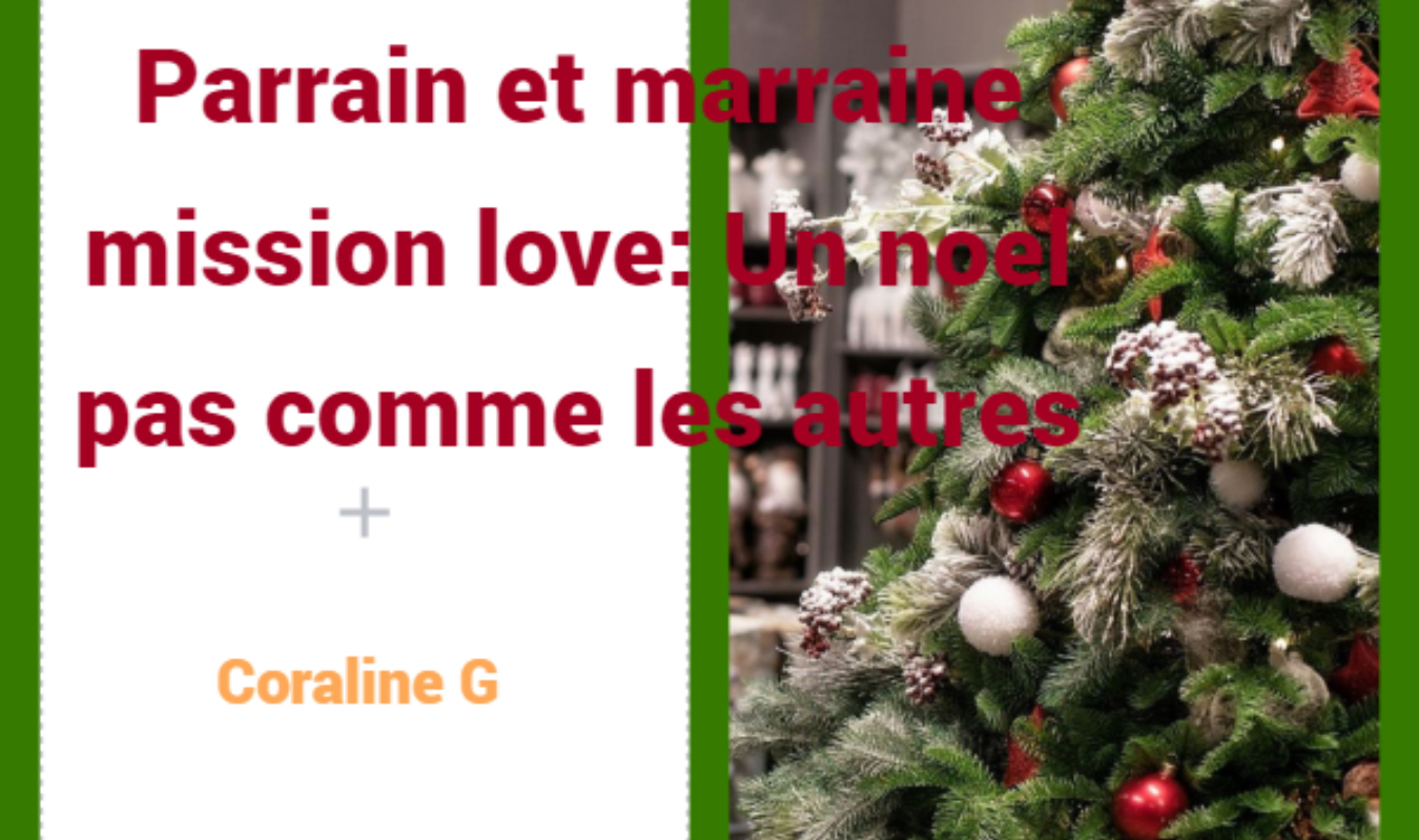 Parrain et marraine mission love: Un noël pas comme les autres 