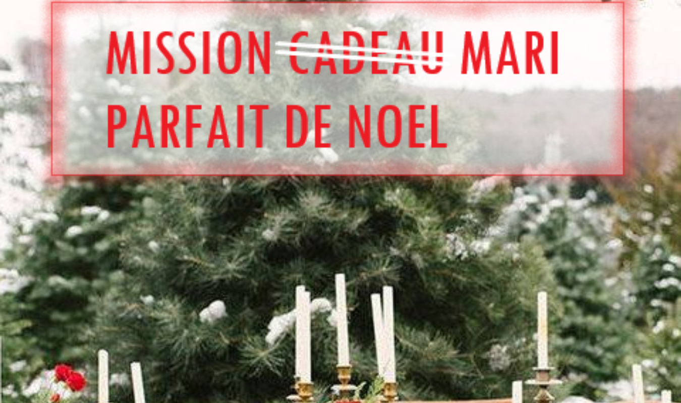 MISSION (CADEAU) MARI PARFAIT DE NOEL 