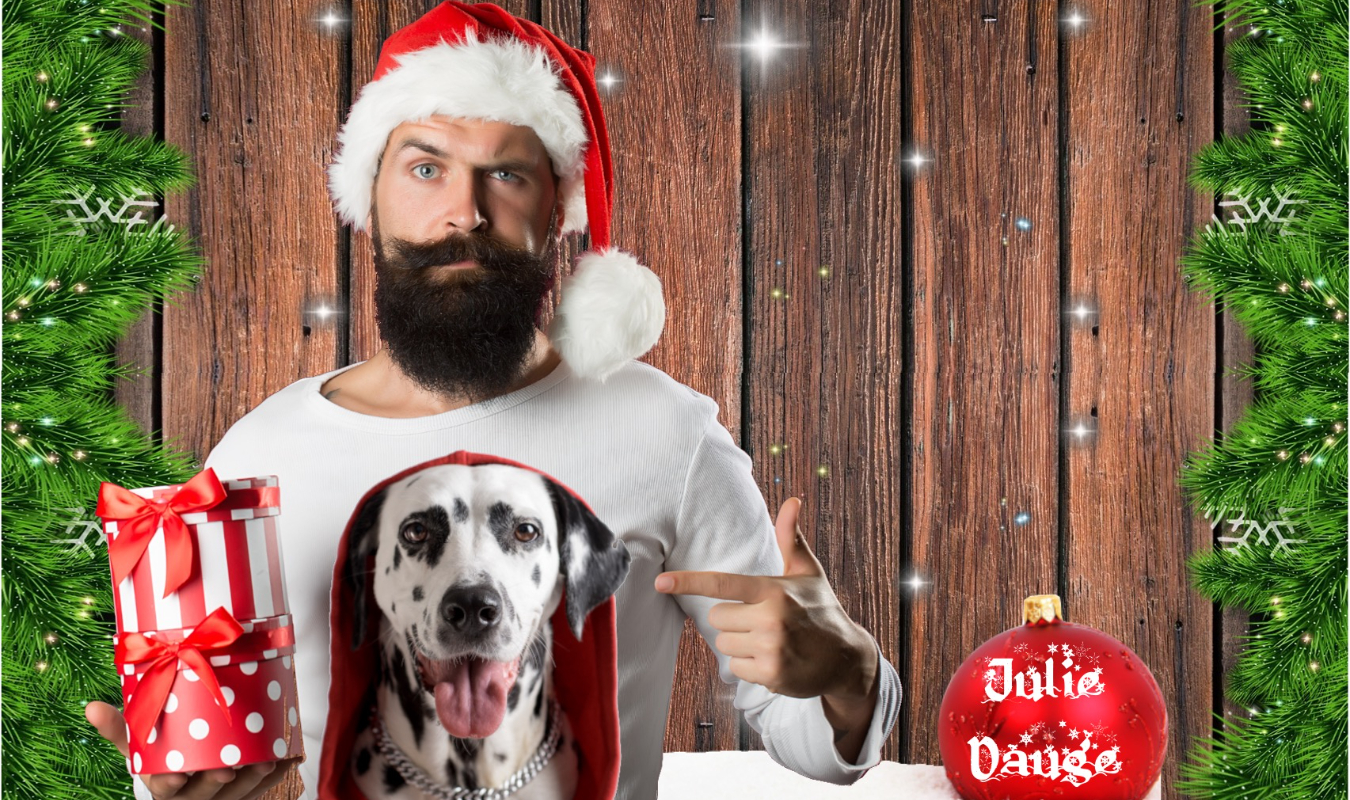 Le Père Noël n'aurait pas dû agiter ses grelots devant mon chien !