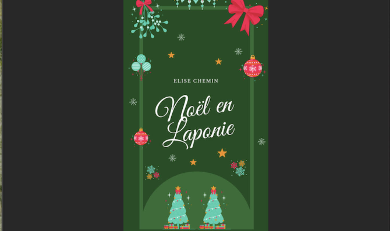 Noël en Laponie