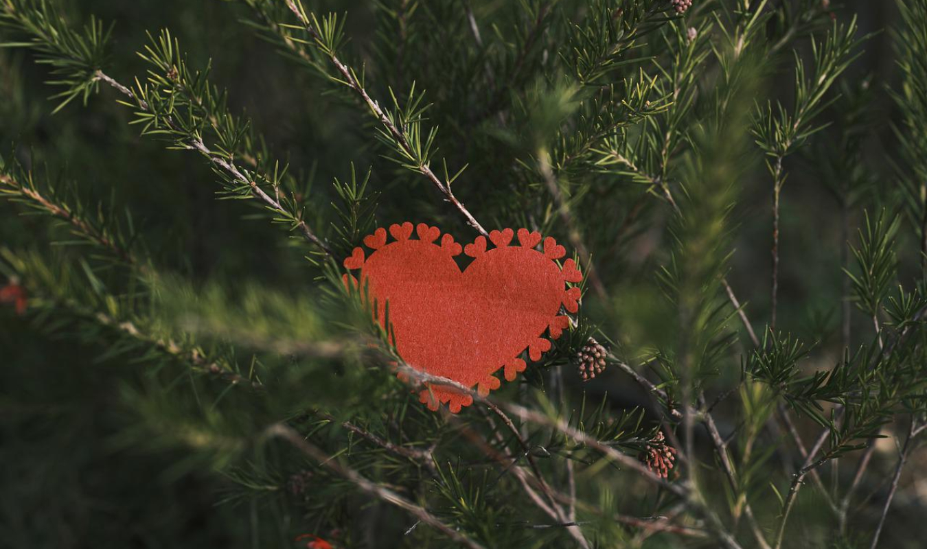 Juste un petit mensonge pour Noël