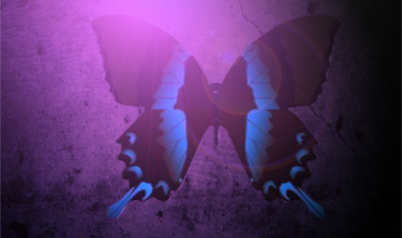 Le livre des Anciens