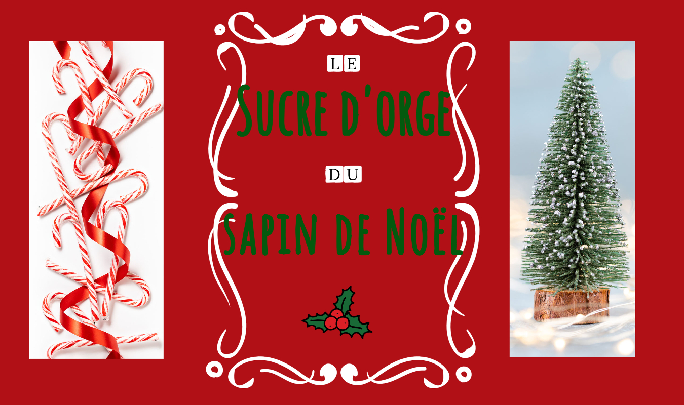 Le sucre d’orge du sapin de Noël