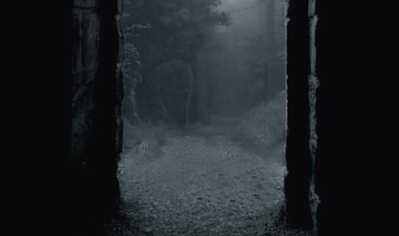 Là où sont les ombres...