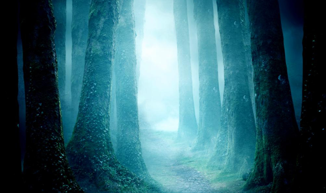 La malédiction d'Adrian