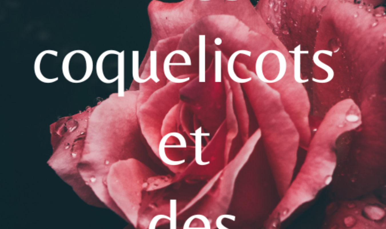 Des coquelicots et des grenades