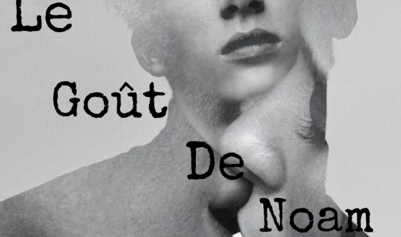 Le goût de Noam 