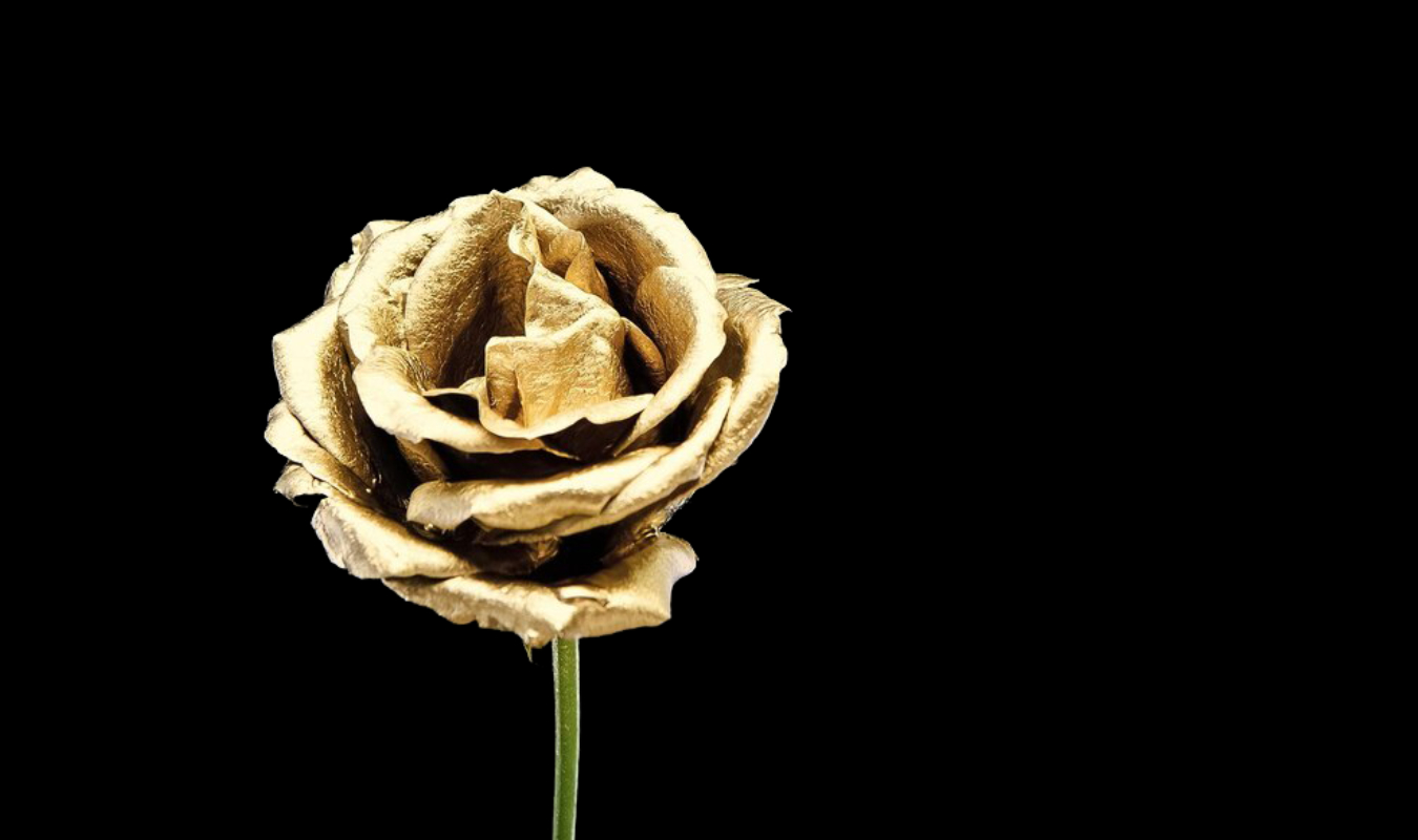 L'amour au-delà de tout...