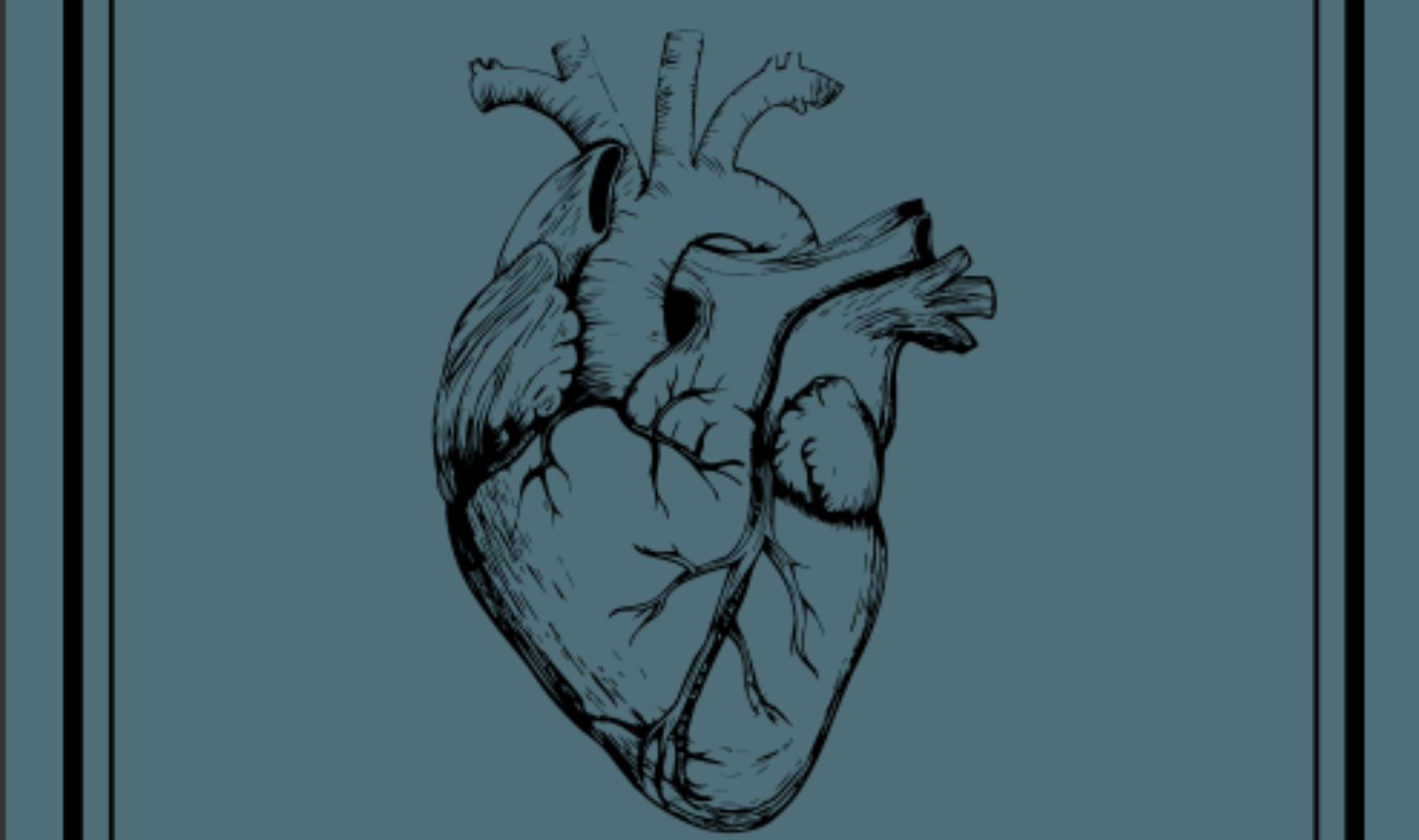 La théorie des oiseaux tristes