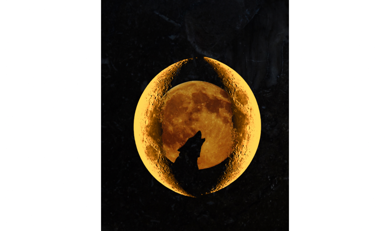 D’or et de Jais [ÉDITÉ]