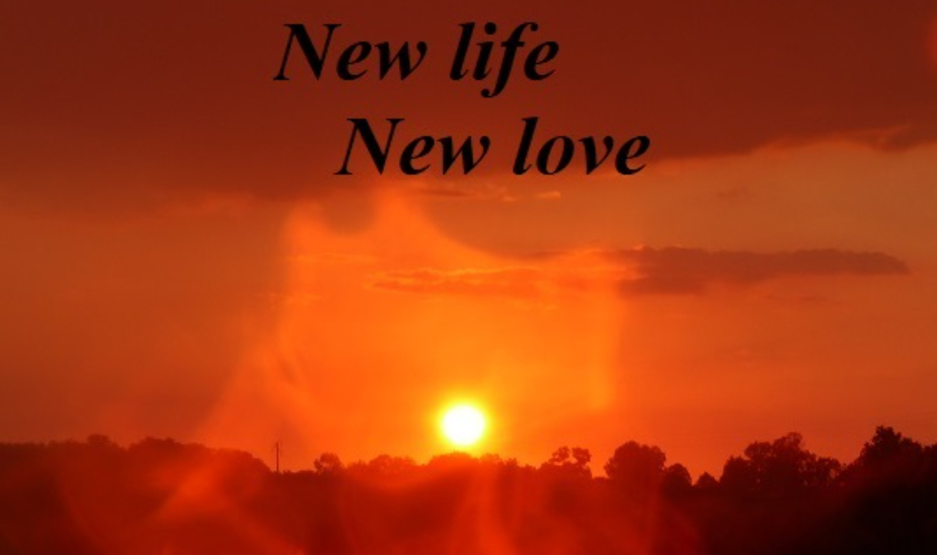 New life, new love chez les Desert devils