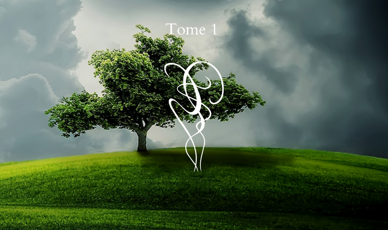 Dimension Tome 1 : Les portails de l'Ombre