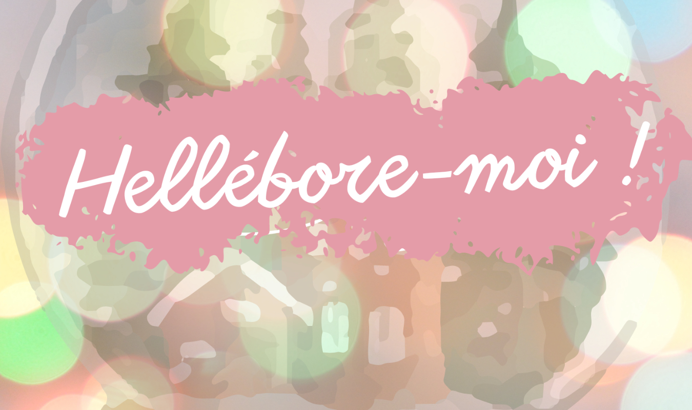 Hellébore-moi !