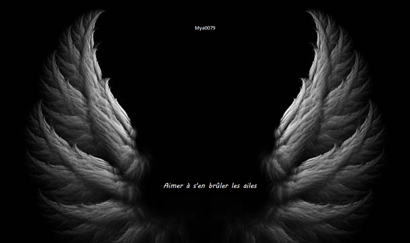 Aimer à s'en brûler les ailes Fyctia