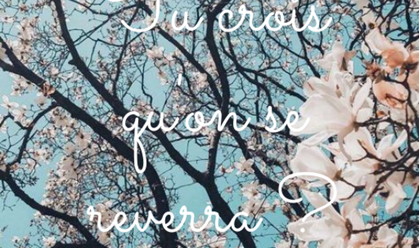 Tu crois qu'on se reverra ?