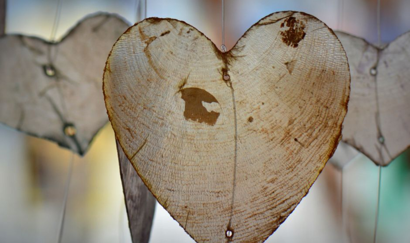 C'est toi que j'ai toujours attendu