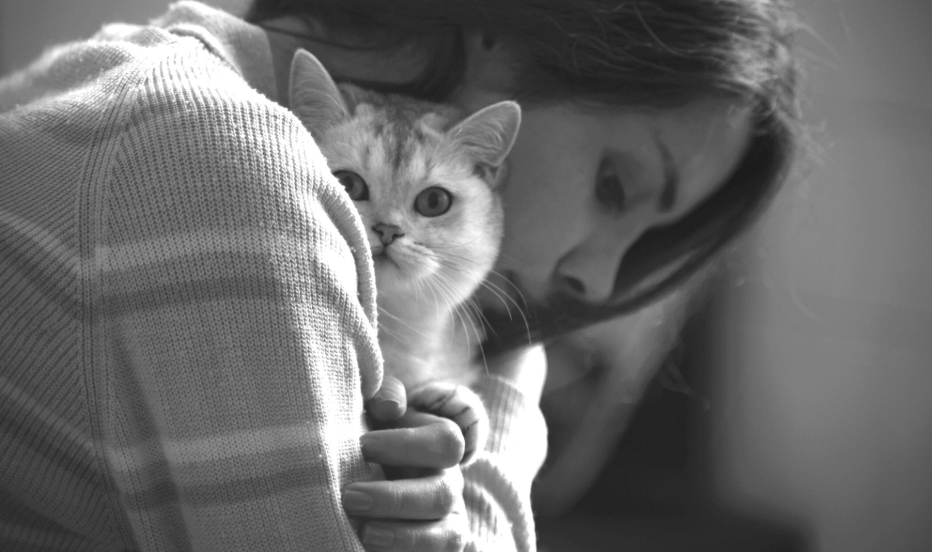 La Vie Rocambolesque d'Isabelle Forest