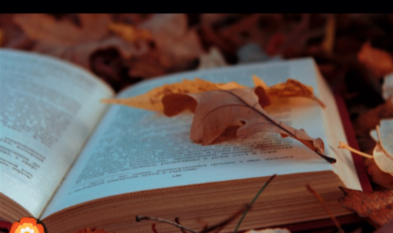 Oublier ou attendre.... 