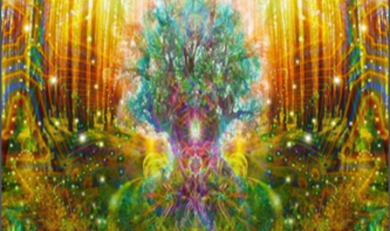 Les amis de la lumière