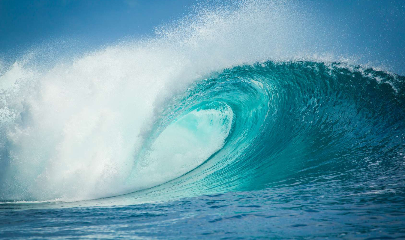 Dans nos poitrines se cache une conque où l'on entend la mer...
