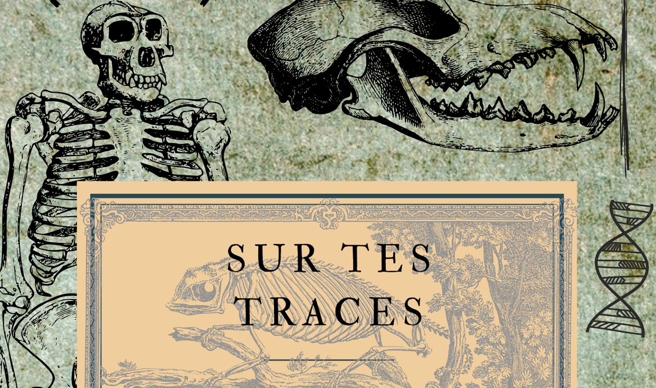 Sur tes traces